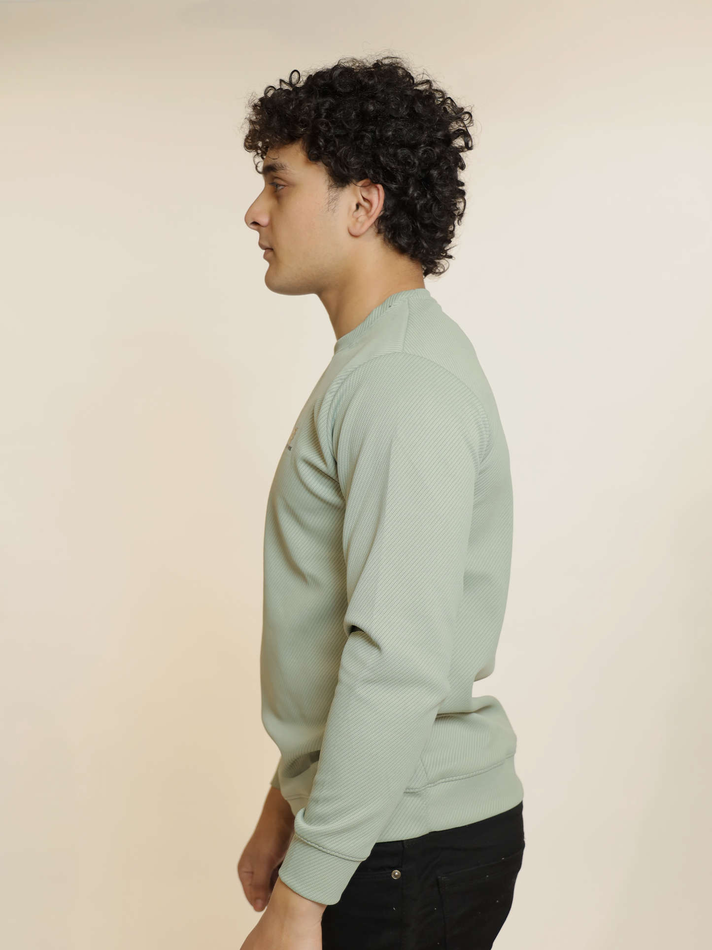 Light Green Casual Fit T-shirt